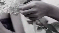 Flowers Aesthetic GIF , Flowers Aesthetic FlowersForYou , Discover \u0026 Share GIFs